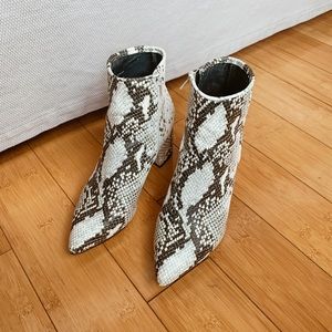 Steve Madden | Banner Snake Booties